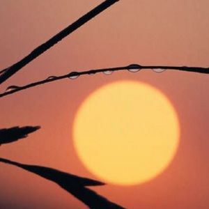 Meet your Posher, Gwen